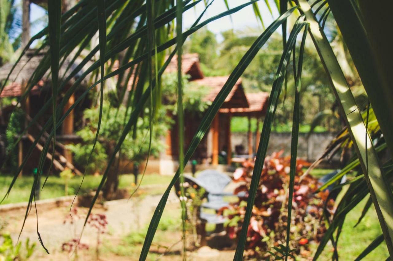 Clay House Udawalawe Exterior foto